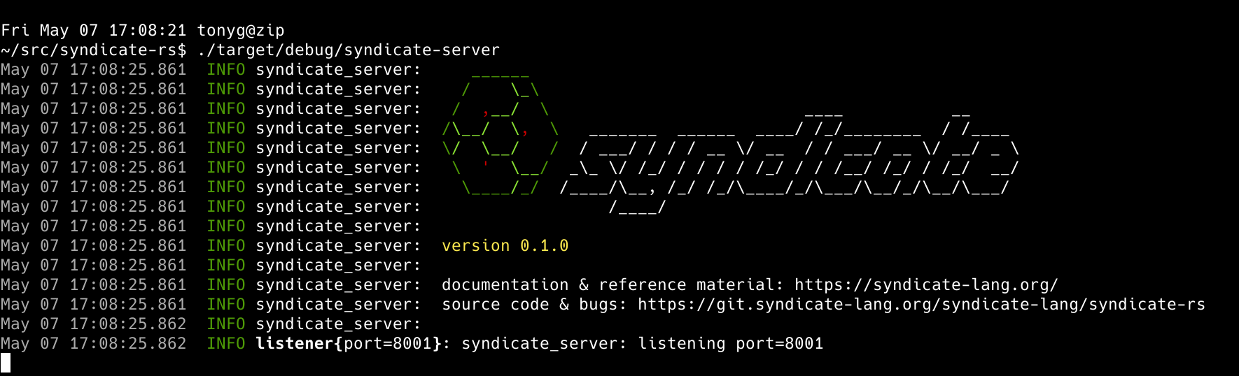 Screenshot of syndicate-rs broker running